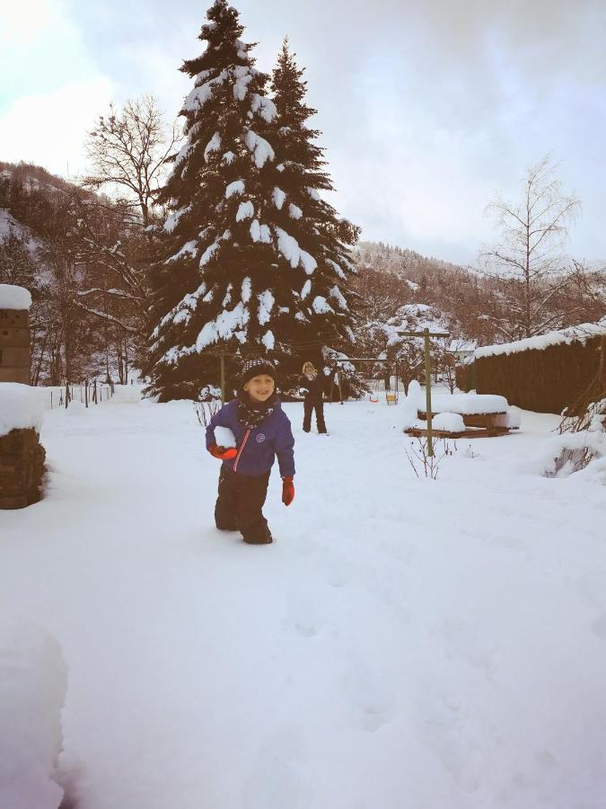 Carpe Diem - cote-montagnes Oderen Exterior foto